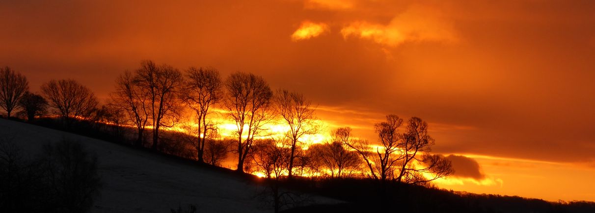 Sunrise