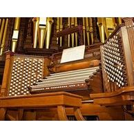 Organ thumbnail